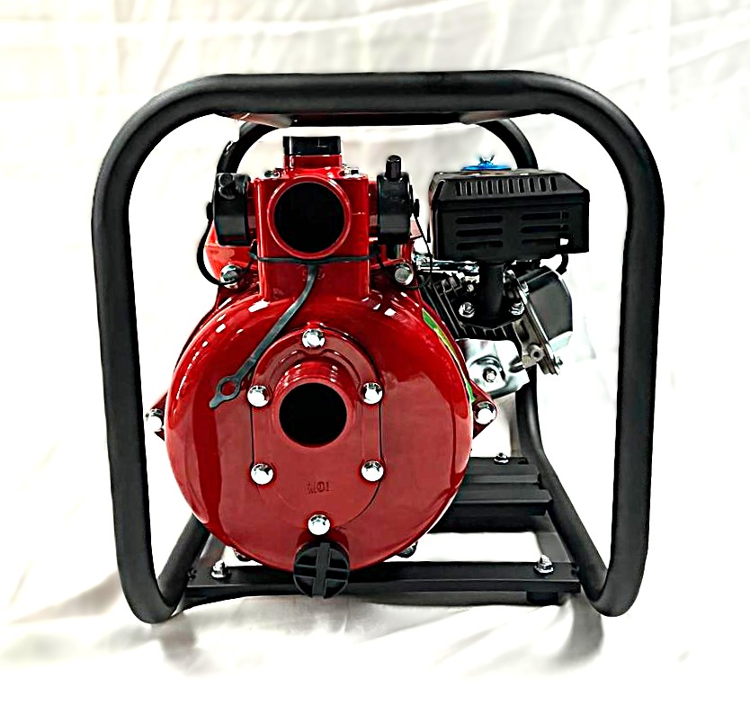 BS20H-2 BISON Gasoline High Pressure Pump – Model: BS20H